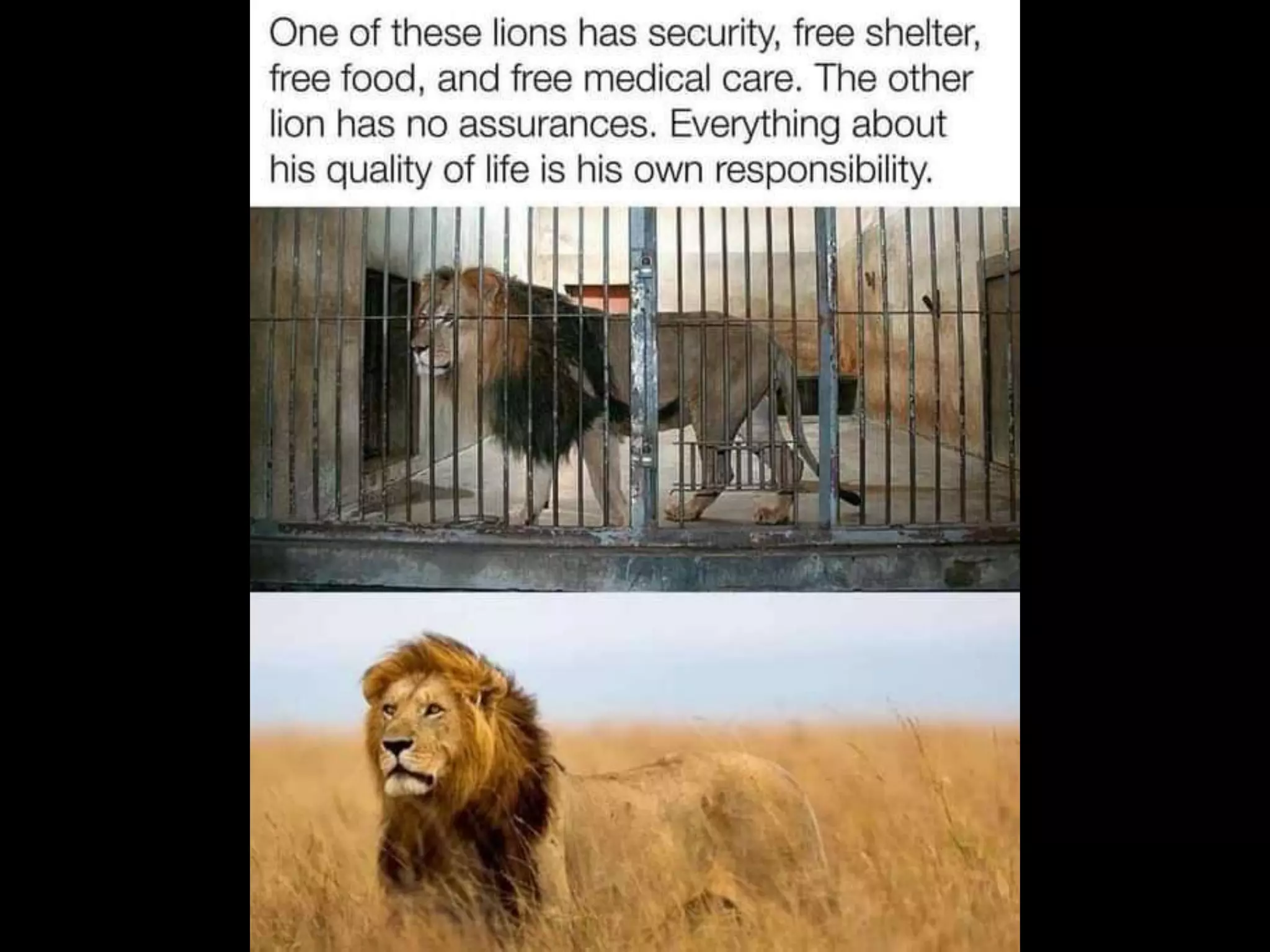 A Balanced and Biblical Response to Lockdowns & Masks