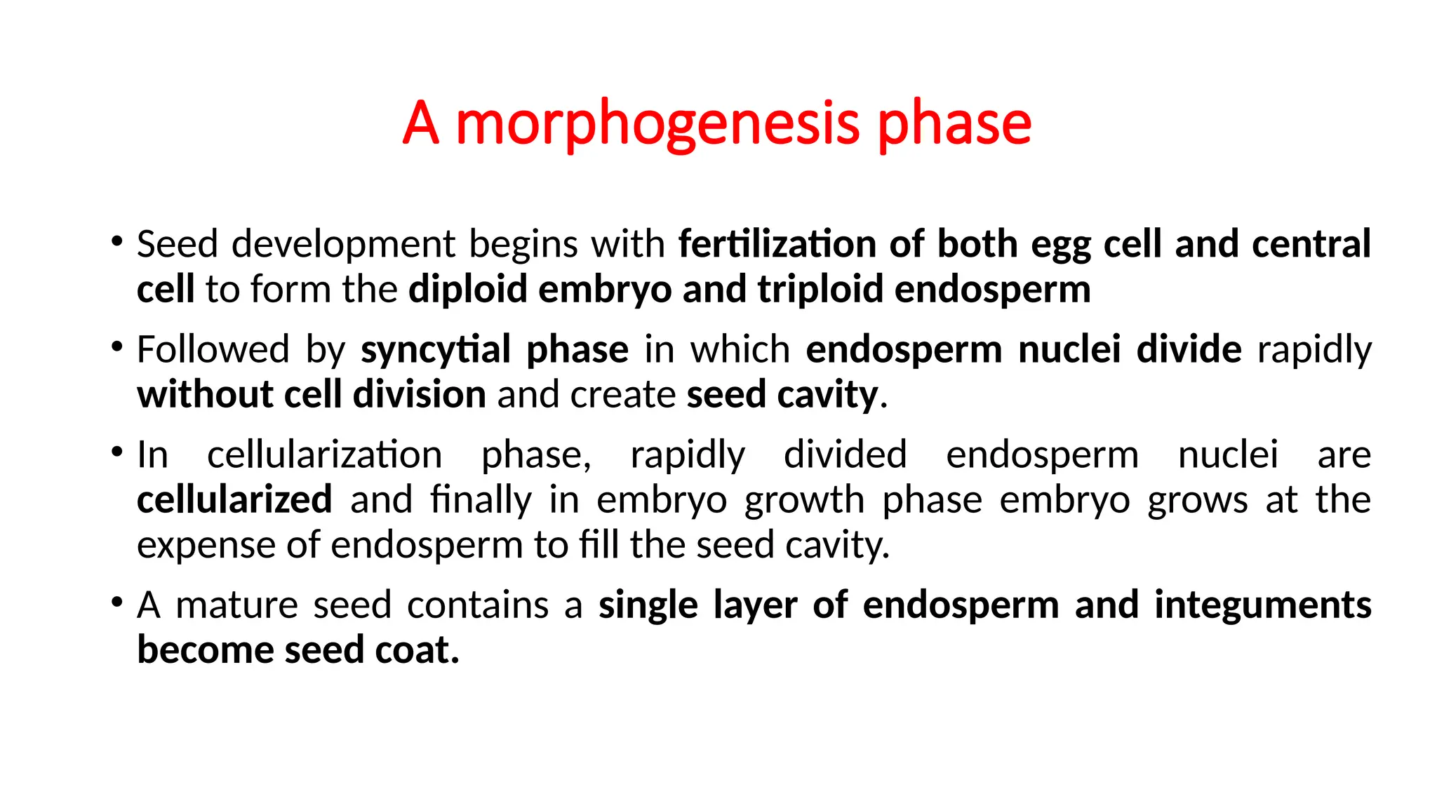A morphogenesis phase
• Seed development begins with fertilization of both egg cell and central
cell to form the diploid embryo and triploid endosperm
• Followed by syncytial phase in which endosperm nuclei divide rapidly
without cell division and create seed cavity.
• In cellularization phase, rapidly divided endosperm nuclei are
cellularized and finally in embryo growth phase embryo grows at the
expense of endosperm to fill the seed cavity.
• A mature seed contains a single layer of endosperm and integuments
become seed coat.
 