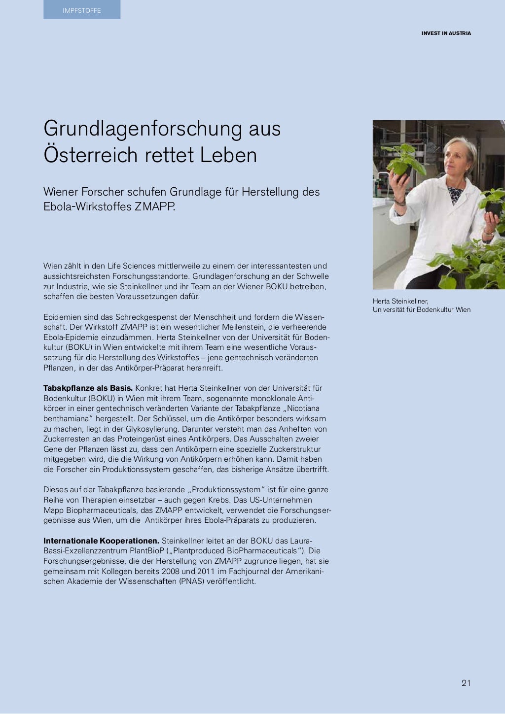 Mercy college bcba program image