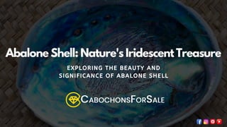 Abalone Shell: Nature's Iridescent Treasure
EXPLORING THE BEAUTY AND
SIGNIFICANCE OF ABALONE SHELL
 