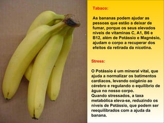 Tabaco: As bananas podem ajudar as pessoas que estão a deixar de fumar, porque os seus elevados níveis de vitaminas C, A1, B6 e B12, além de Potássio e Magnésio, ajudam o corpo a recuperar dos efeitos da retirada da nicotina. Stress: O Potássio é um mineral vital, que ajuda a normalizar os batimentos cardíacos, levando oxigénio ao cérebro e regulando o equilíbrio de água no nosso corpo. Quando stressados, a taxa metabólica eleva-se, reduzindo os níveis de Potássio, que podem ser reequilibrados com a ajuda da banana. 