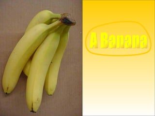 A Banana 