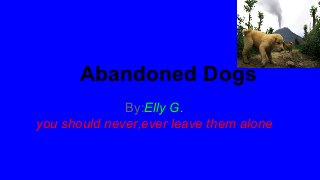 Abandoned Dogs
By:Elly G.
you should never,ever leave them alone

 