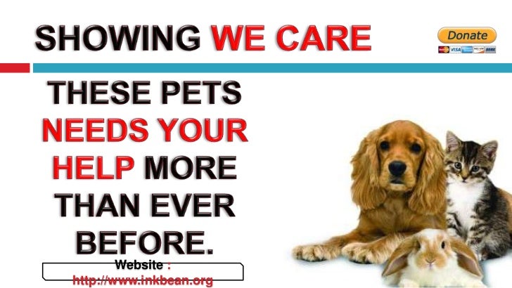 Abandoned pets statistics