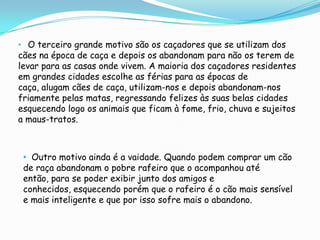 O segundo motivo é quando a dona do animal fica grávida e    surgem avisos pouco esclarecidos e infundados por parte de outras pessoas sobre a possibilidade do animal transmitir doenças que afectem o bebé. Na realidade, basta ter os animais desparasitados e vacinados.O terceiro grande motivo são os caçadores que se utilizam dos cães na época de caça e depois os abandonam para não os terem de levar para as casas onde vivem. A maioria dos caçadores residentes em grandes cidades escolhe as férias para as épocas de caça, alugam cães de caça, utilizam-nos e depois abandonam-nos friamente pelas matas, regressando felizes às suas belas cidades esquecendo logo os animais que ficam à fome, frio, chuva e sujeitos a maus-tratos.