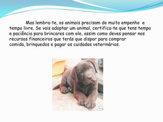 	Mas lembra-te, os animais precisam de muito empenho  e tempo livre. Se vais adoptar um animal, certifica-te que tens tempo e paciência para brincares com ele, assim como deves pensar nos recursos financeiros que terás que dispor para comprar comida, brinquedos e pagar os cuidados veterinários. 