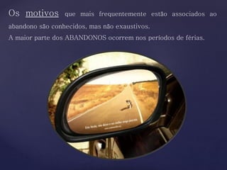 Os motivos que mais frequentemente estão associados ao
abandono são conhecidos, mas não exaustivos.
A maior parte dos ABANDONOS ocorrem nos períodos de férias.
 