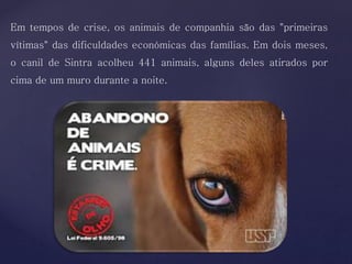 Em tempos de crise, os animais de companhia são das "primeiras
vítimas" das dificuldades económicas das famílias. Em dois meses,
o canil de Sintra acolheu 441 animais, alguns deles atirados por
cima de um muro durante a noite.
 
