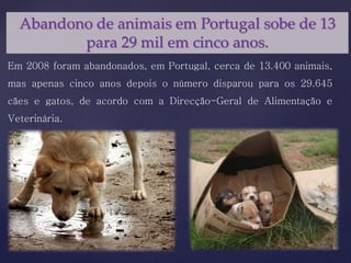 Abandono de animais em Portugal sobe de 13
para 29 mil em cinco anos.
Em 2008 foram abandonados, em Portugal, cerca de 13.400 animais,
mas apenas cinco anos depois o número disparou para os 29.645
cães e gatos, de acordo com a Direcção-Geral de Alimentação e
Veterinária.
 