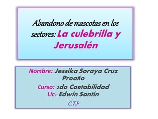 Abandonode mascotasenlos
sectores: La culebrilla y
Jerusalén
Nombre: Jessika Soraya Cruz
Proaño
Curso: 2do Contabilidad
Lic: Edwin Santín
C.T.P
 