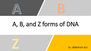 A, B, and Z forms of DNA
By: ZERAVAN ALI
 