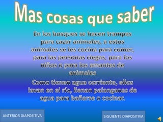 ANTERIOR DIAPOSITIVA

SIGUIENTE DIAPOSITIVA

 