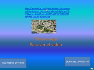 http://www.bing.com/videos/search?q=videos
+de+guinea+ecuatorial&go=&qs=bs&form=QB
VR#view=detail&mid=89A19A9E3BF26F0BC78
F89A19A9E3BF26F0BC78F

Pincha aquí
Para ver el video

DIAPOSITIVA ANTERIOR

SIGUIENTE DIAPOSITIVA

 