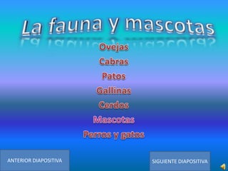 ANTERIOR DIAPOSITIVA

SIGUIENTE DIAPOSITIVA

 