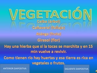 ANTERIOR DIAPOSITIVA

SIGUIENTE DIAPOSITIVA

 