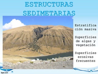 ESTRUCTURAS
SEDIMETARIAS
Estratifica
ción masiva
Superficies
de algas y
vegetación
Superficies
erosivas
frecuentes
 