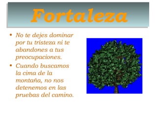 Fortaleza
• No te dejes dominar
por tu tristeza ni te
abandones a tus
preocupaciones.
• Cuando buscamos
la cima de la
montaña, no nos
detenemos en las
pruebas del camino.