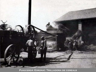 Puigcerdà (Girona). Trilladora de cereals 