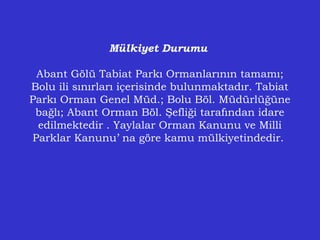 Mülkiyet Durumu
Abant Gölü Tabiat Parkı Ormanlarının tamamı;
Bolu ili sınırları içerisinde bulunmaktadır. Tabiat
Parkı Orman Genel Müd.; Bolu Böl. Müdürlüğüne
bağlı; Abant Orman Böl. Şefliği tarafından idare
edilmektedir . Yaylalar Orman Kanunu ve Milli
Parklar Kanunu’ na göre kamu mülkiyetindedir.
 