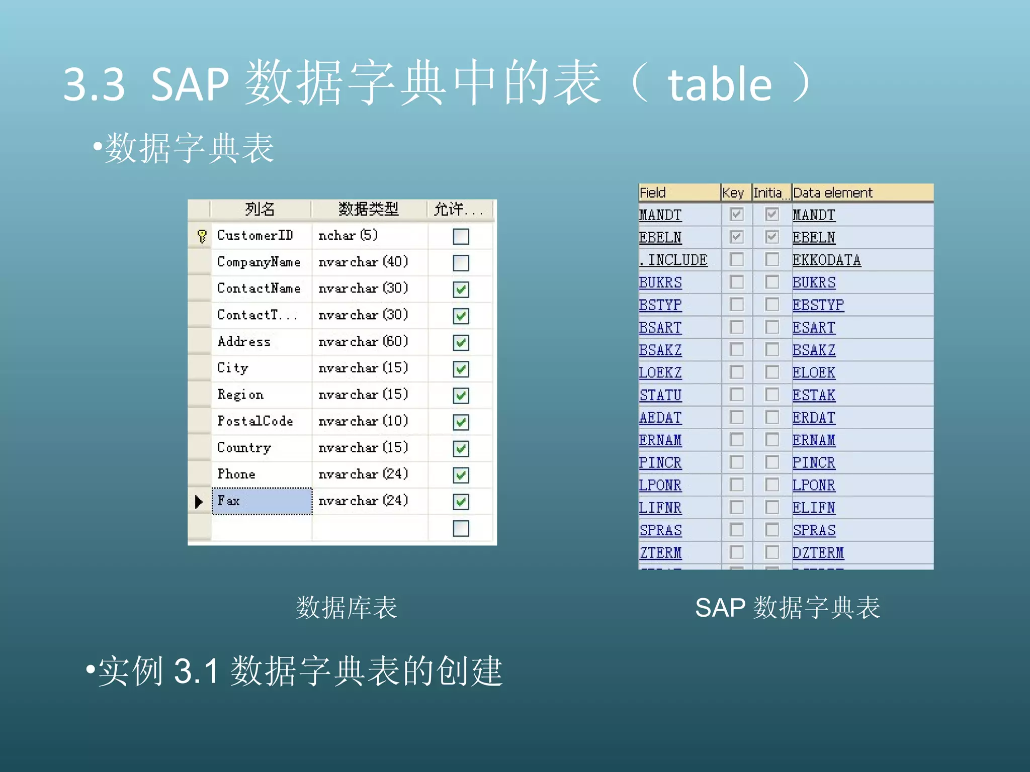 3.3  SAP 数据字典中的表（ table ） SAP 数据字典表 数据库表 实例 3.1 数据字典表的创建 数据字典表 