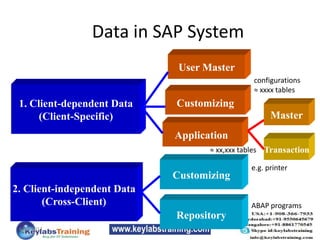Data in SAP System
1. Client-dependent Data
(Client-Specific)
2. Client-independent Data
(Cross-Client)
User Master
Customizing
Application
Master
Transaction
Customizing
Repository
configurations
≈ xxxx tables
≈ xx,xxx tables
e.g. printer
ABAP programs
6/14/2013
 