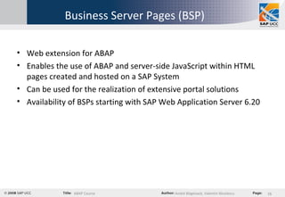 Business Server Pages (BSP) Web extension for ABAP Enables the use of ABAP and server-side JavaScript within HTML pages created and hosted on a SAP System Can be used for the realization of extensive portal solutions Availability of BSPs starting with SAP Web Application Server 6.20 