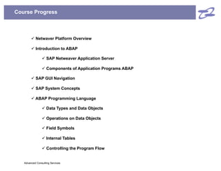 Comprehensive ABAP Development Training on SAP NetWeaver Platform | PDF
