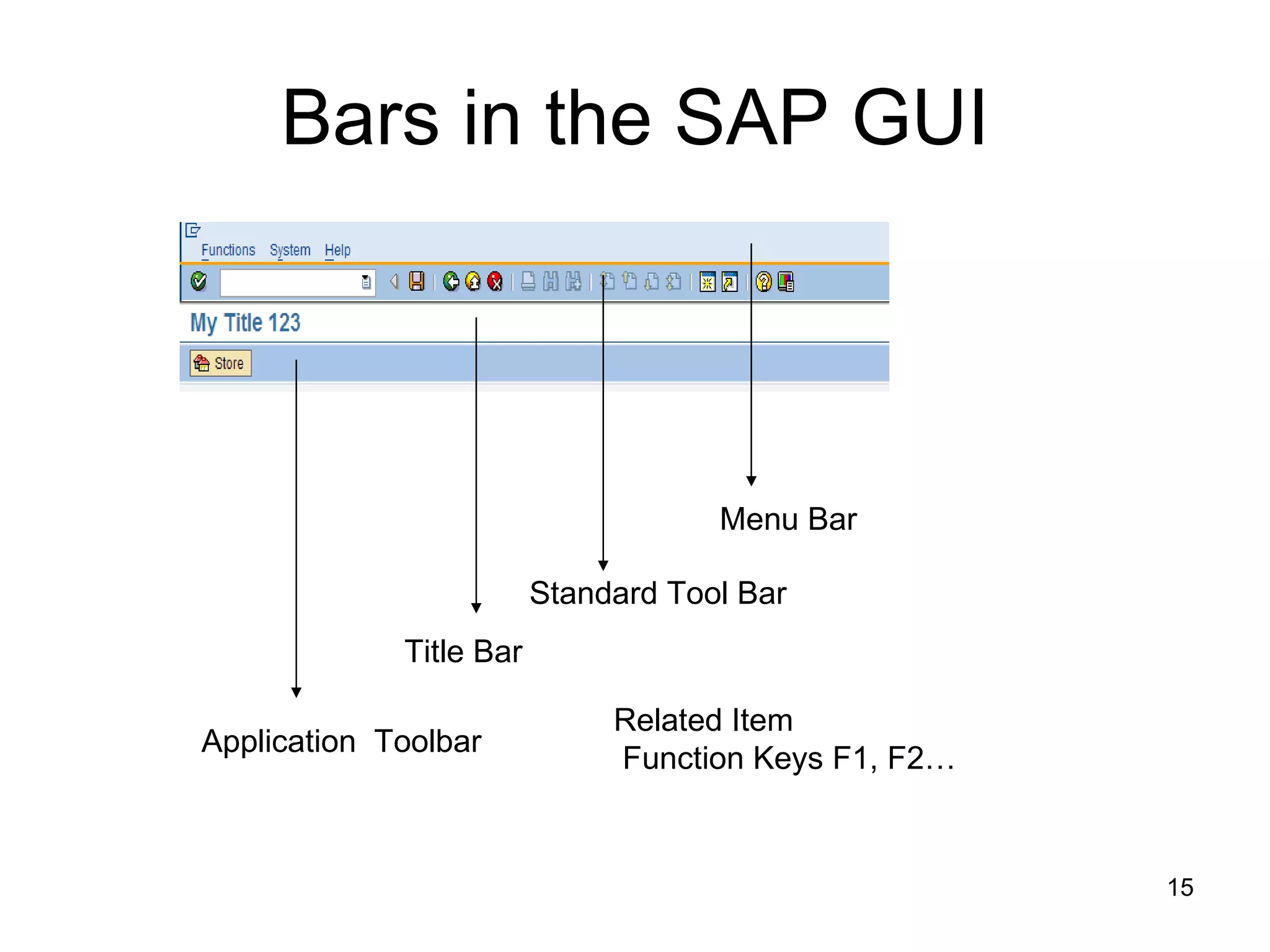Bars in the SAP GUI Menu Bar Standard Tool Bar Title Bar Application  Toolbar Related Item Function Keys F1, F2… 