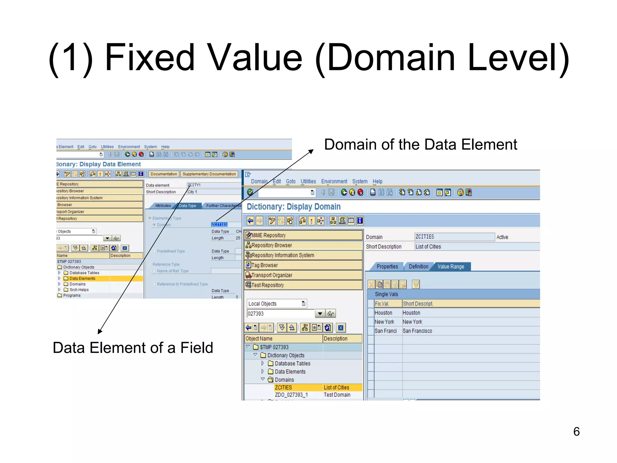 (1) Fixed Value (Domain Level) Domain of the Data Element Data Element of a Field 