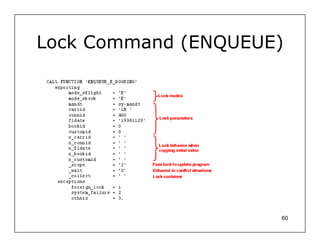 Lock Command (ENQUEUE)




                     60
 