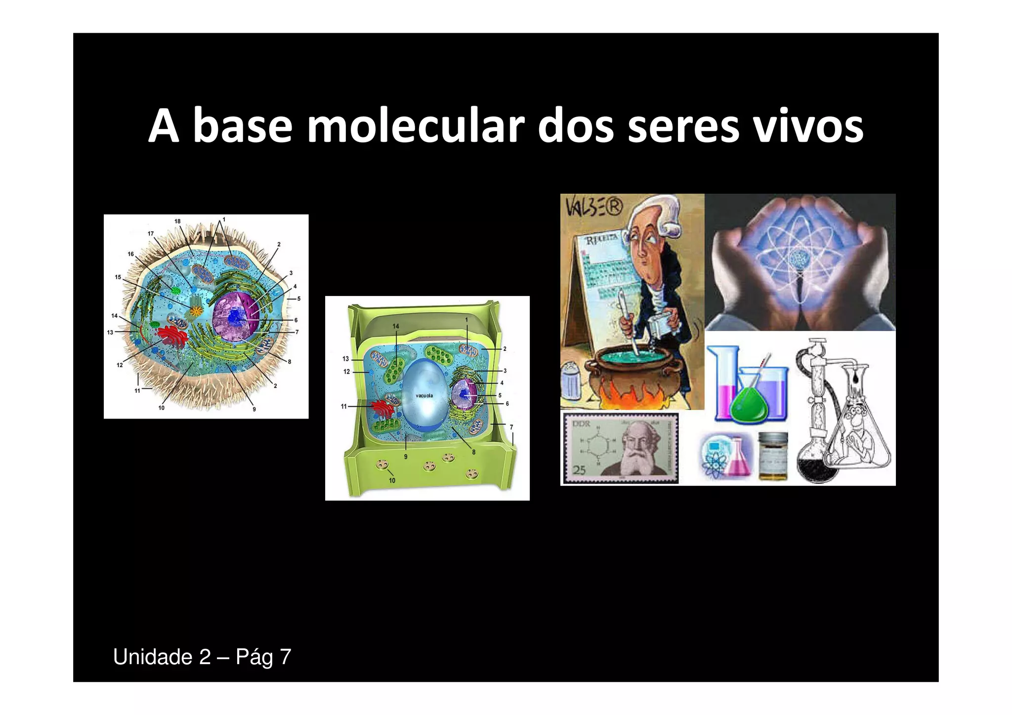 A base molecular dos seres vivos | PPT