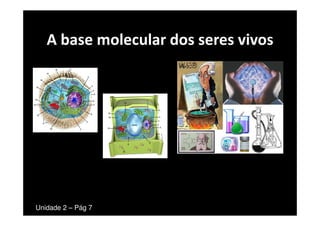 A base molecular dos seres vivos




Unidade 2 – Pág 7
 