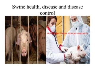 Swine health, disease and disease
control
ABASE ABDU –FROM WERABE UNIVERSITY.
 