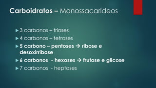 Carboidratos – Monossacarídeos
 3 carbonos – trioses
 4 carbonos – tetroses
 5 carbono – pentoses  ribose e
desoxirribose
 6 carbonos - hexoses  frutose e glicose
 7 carbonos - heptoses
 