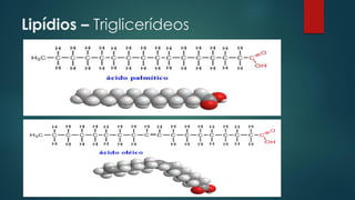 Lipídios – Triglicerídeos
 