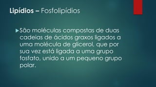 Lipídios – Fosfolipídios
São moléculas compostas de duas
cadeias de ácidos graxos ligados a
uma molécula de glicerol, que por
sua vez está ligada a uma grupo
fosfato, unido a um pequeno grupo
polar.
 