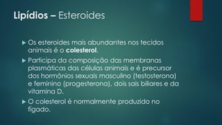 Lipídios – Esteroides
 Os esteroides mais abundantes nos tecidos
animais é o colesterol.
 Participa da composição das membranas
plasmáticas das células animais e é precursor
dos hormônios sexuais masculino (testosterona)
e feminino (progesterona), dois sais biliares e da
vitamina D.
 O colesterol é normalmente produzido no
fígado.
 