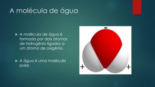A molécula de água
 A molécula de água é
formada por dois átomos
de hidrogênio ligados a
um átomo de oxigênio.
 A água é uma molécula
polar
 