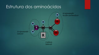 Estrutura dos aminoácidos
 
