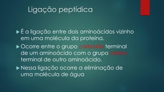 Ligação peptídica
 É a ligação entre dois aminoácidos vizinho
em uma molécula da proteína.
 Ocorre entre o grupo carboxila terminal
de um aminoácido com o grupo amino
terminal de outro aminoácido.
 Nessa ligação ocorre a eliminação de
uma molécula de água
 