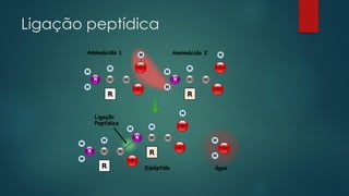 Ligação peptídica
 