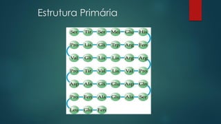 Estrutura Primária
 