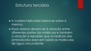 Estrutura terciária
 A cadeia helicoidal dobra-se sobre si
mesma.
 Essas dobras devem-se à atração entre
diferentes partes da molécula e também
a atração e repulsão que os radicais dos
aminoácidos exercem sobre as moléculas
de água circundante.
 