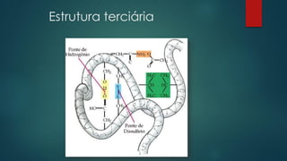 Estrutura terciária
 