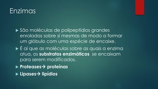 Enzimas
 São moléculas de polipeptídios grandes
enroladas sobre si mesmas de modo a formar
um glóbulo com uma espécie de encaixe.
 É aí que as moléculas sobre as quais a enzima
atua, os substratos enzimáticos se encaixam
para serem modificados.
 Proteases proteínas
 Lipases lipídios
 