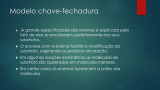 Modelo chave-fechadura
 A grande especificidade das enzimas é explicada pelo
fato de elas se encaixarem perfeitamente aos seus
substratos.
 O encaixe com a enzima facilita a modificação do
substrato, originando os produtos da reação.
 Em algumas reações enzimáticas as moléculas de
substrato são quebradas em moléculas menores.
 Em certos casos as enzimas favorecem a união das
moléculas.
 