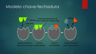Modelo chave-fechadura
 
