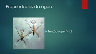 Propriedades da água
 Tensão superficial
 