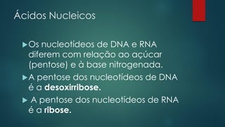 Ácidos Nucleicos
Os nucleotídeos de DNA e RNA
diferem com relação ao açúcar
(pentose) e à base nitrogenada.
A pentose dos nucleotídeos de DNA
é a desoxirribose.
 A pentose dos nucleotídeos de RNA
é a ribose.
 