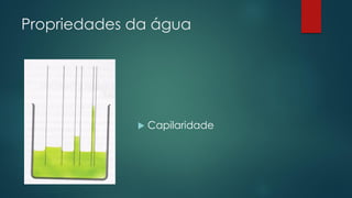 Propriedades da água
 Capilaridade
 